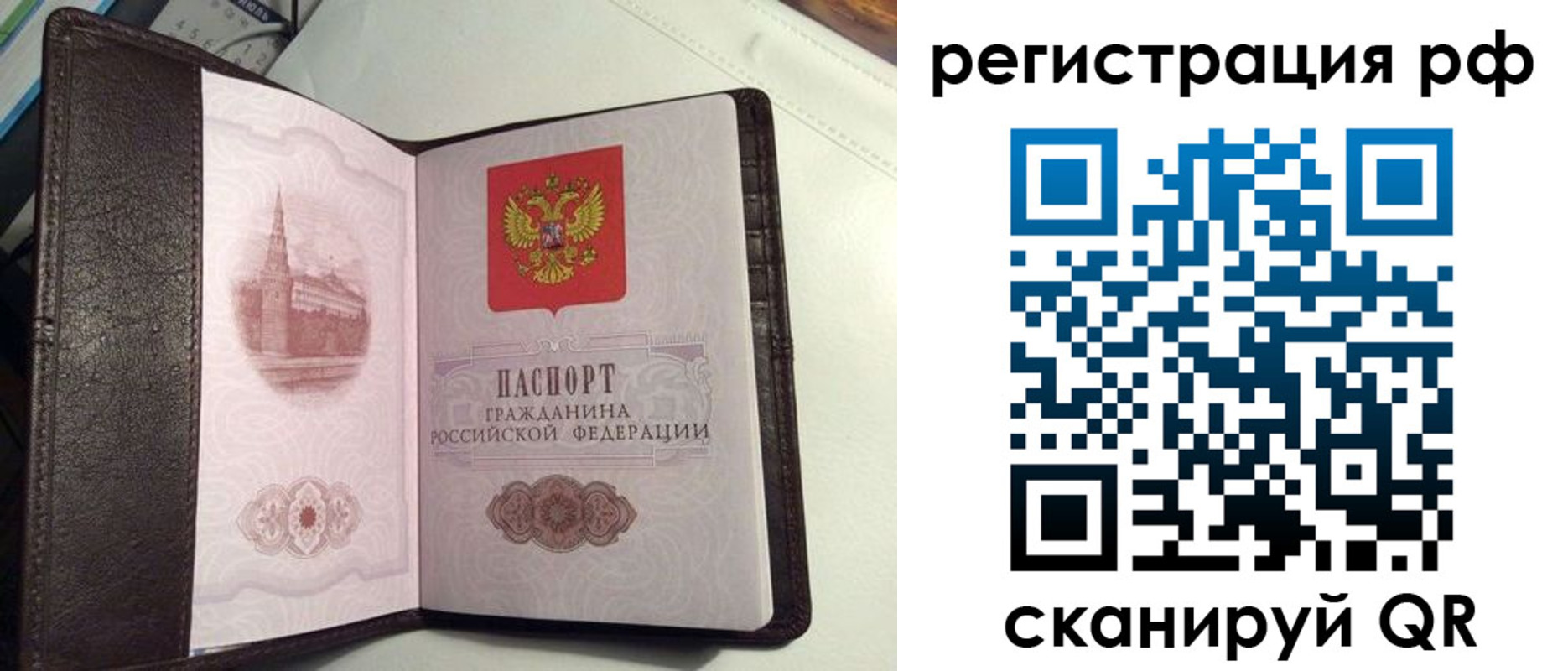 купить прописку в Славгороде